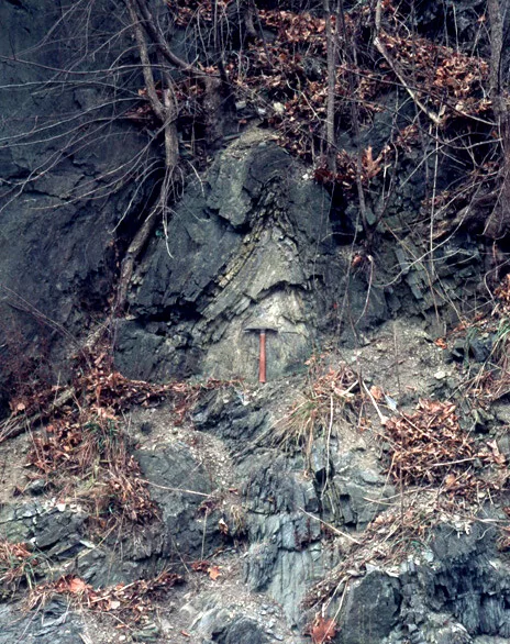 波打つように曲がった堆積岩層の露頭写真