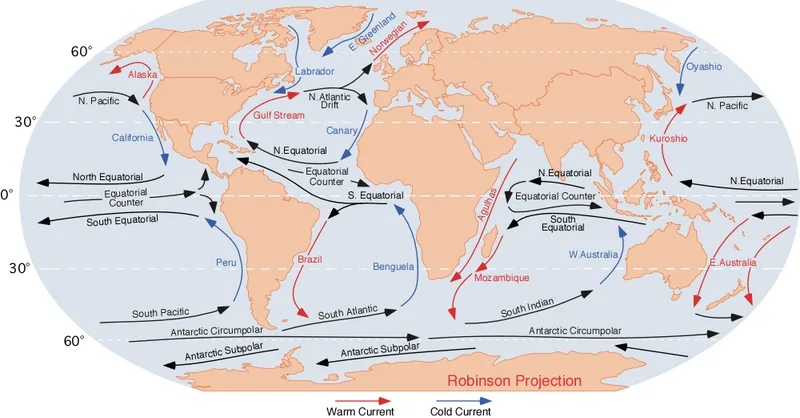 暖流と寒流を示した世界の海流分布図