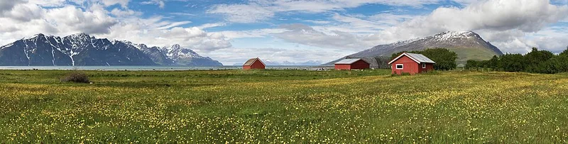 切り立った山にはさまれた細長い入り江のフィヨルド
