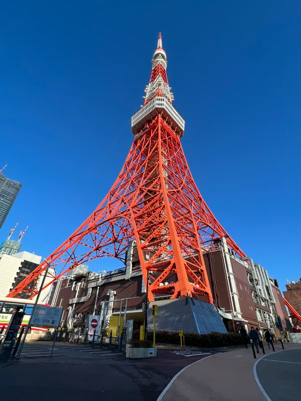 東京タワーの全景