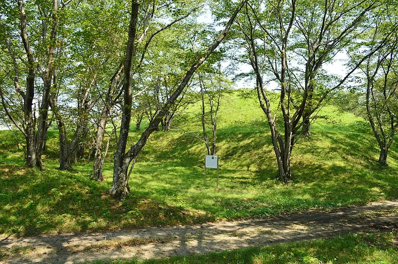草木におおわれた古墳（盛り土の墓）