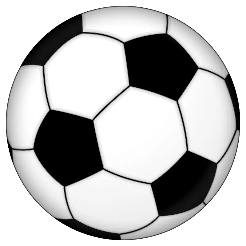 白 と 黒 の パネル で 作られた サッカー ボール