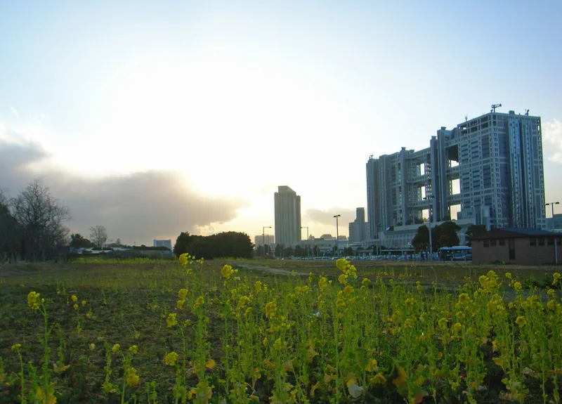 高層ビル群が建ち並ぶ近未来的な東京の都市風景