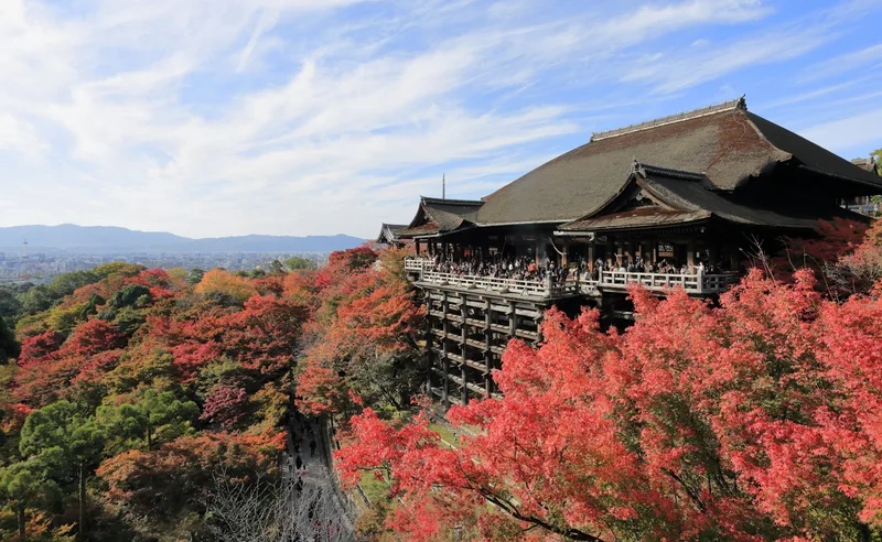 紅葉に包まれた清水寺の本堂と舞台 (京都)