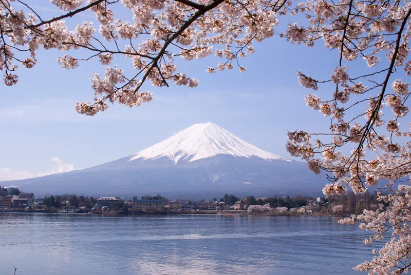河口湖から見た桜と富士山
