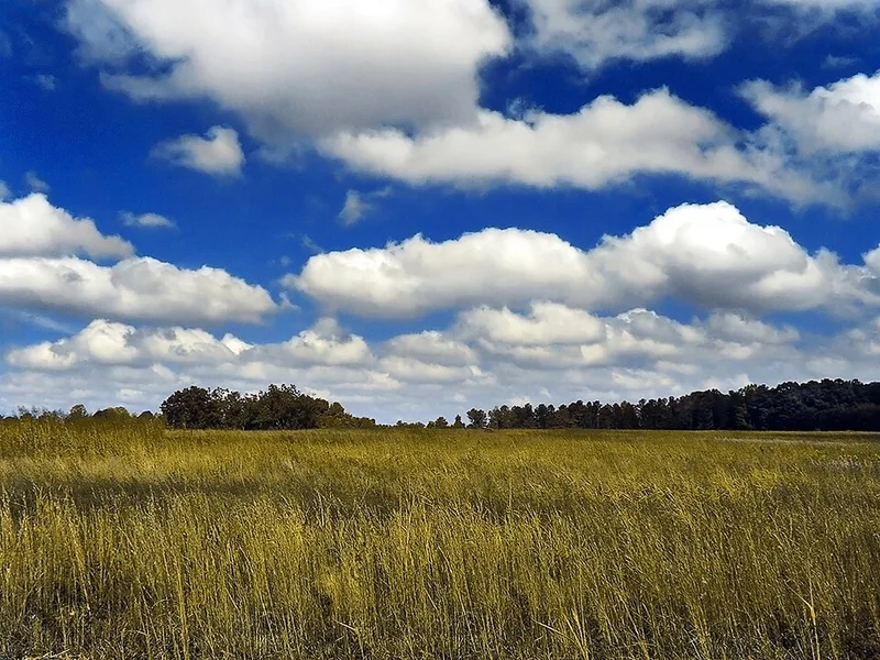 草原の上の積雲 の 写真