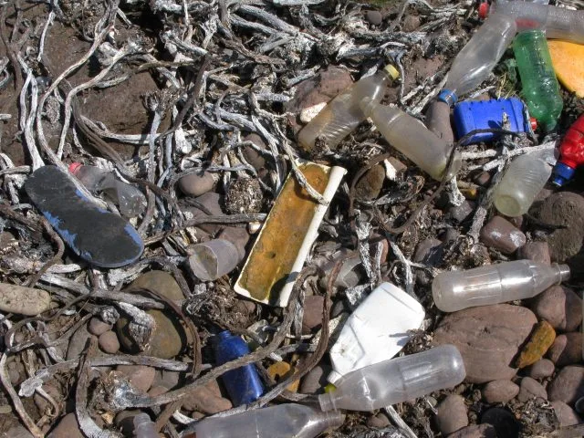 ペットボトル・浮き・サンダルなど大量のプラスチックごみが散乱する海岸