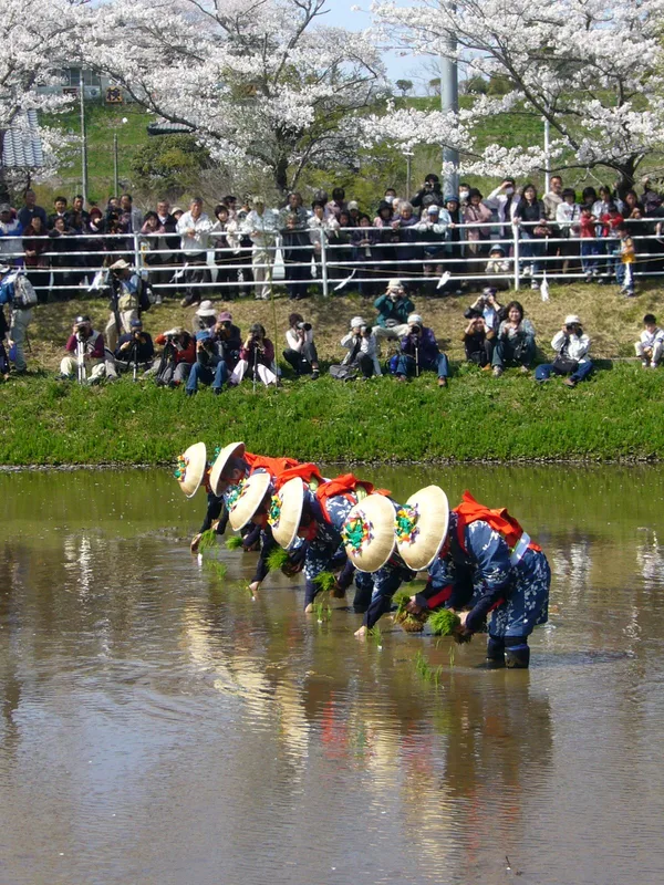 田植えをする人々