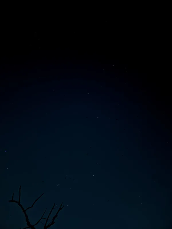 夜空にかがやくオリオン座